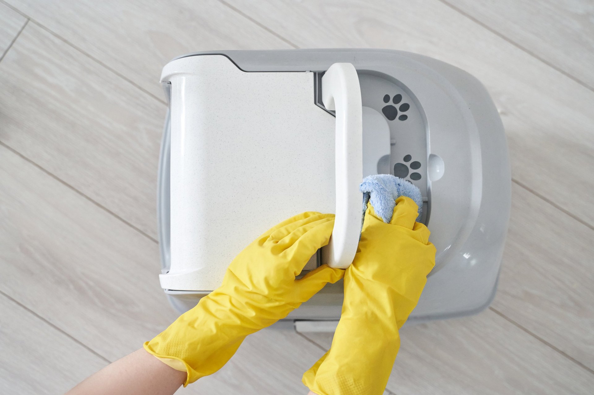 Hands in yellow gloves cleaning automatic litter box